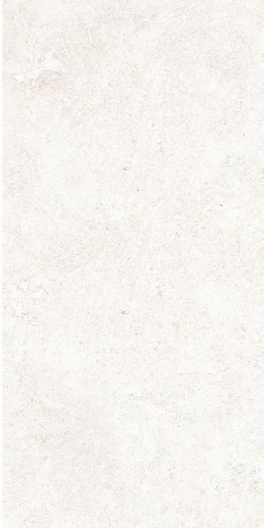 OL Limestone Bianco Matte 12 x 24